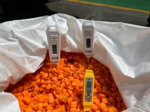 RF Tempering Technology for Chopped Carrots using Strayfield