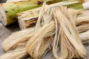 How to Dry Banana Fibre Faster and More Uniformly with MagnaTex Radio Frequency Technology
