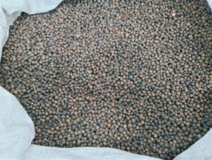 Radio Frequency Pasteurisation of Black Pepper: Rapid and Uniform Heating for Spice Applications